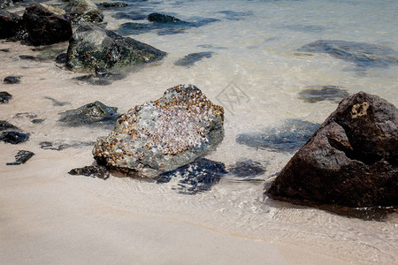 美丽的海景石头图片