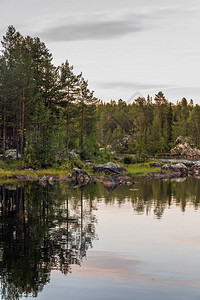 瑞典拉普兰Norrbottten县Muddus公园山脉周围沼泽地图片