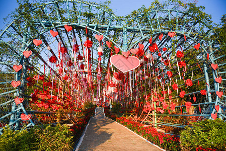 在情人节或婚礼日与鲜花步行道一起由户外塑造的爱隧道心脏形体上挂图片