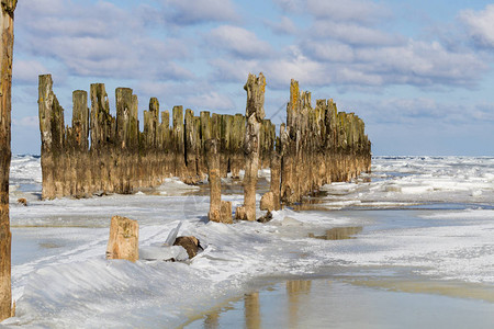 冬季海岸的木柱图片