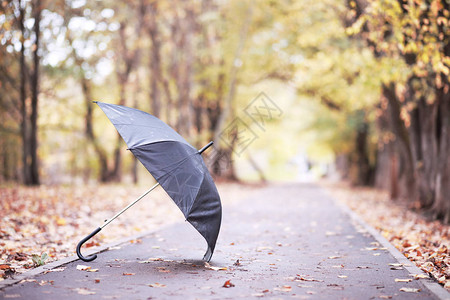 十月下午的秋雨公园背景图片