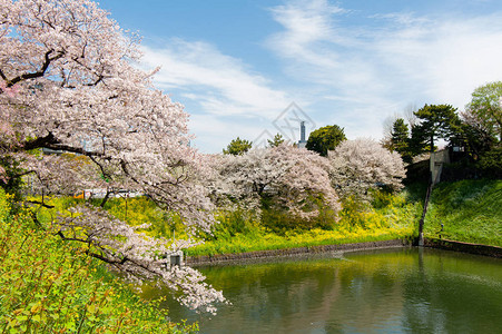 日本东京Chidarigafuchi公园图片