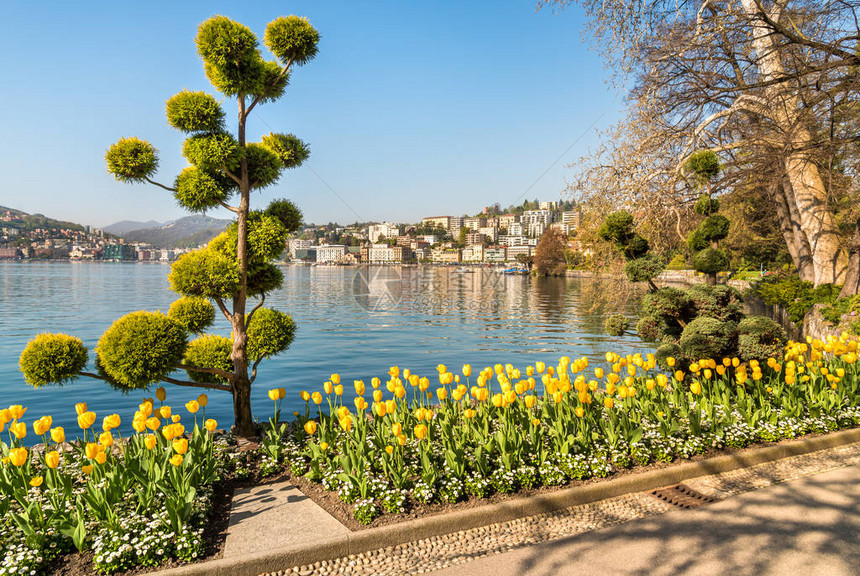 在瑞士卢加诺湖和春季市中心图片