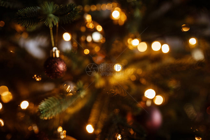 装饰得很漂亮的圣诞树图片