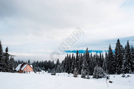 雪山中木屋的美景松树和白云图片