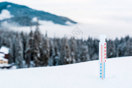 雪山上的温度计松树和白色蓬松的云彩图片