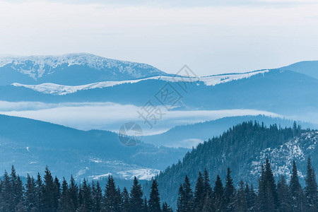 雪山美景与松树和多云的天空图片