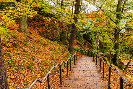 德国撒克逊瑞士公园巴斯泰公园秋叶楼梯景观Bastei桥图片