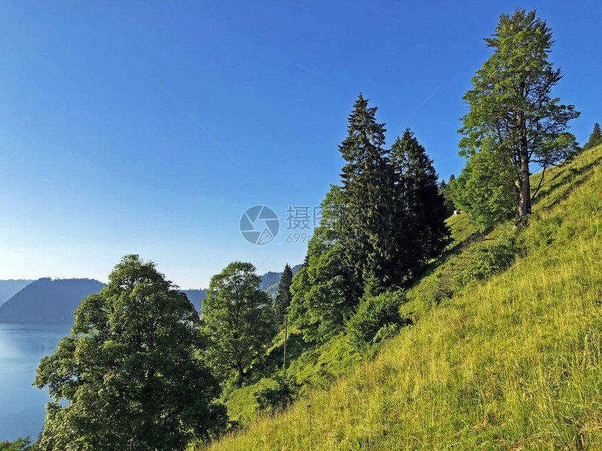 Wagital或Waegital山谷以及瑞士Schwyz州Innerthal的Waigital和Wagitatal湖高山Waeg图片