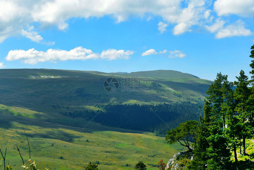 美丽的山脉草地和青松蓝天白云夏日风景图片