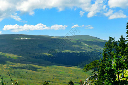 美丽的山脉草地和青松蓝天白云夏日风景背景图片