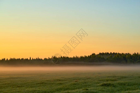 在草地或田野表面和在天空背景下雾的自然清晨风景背景