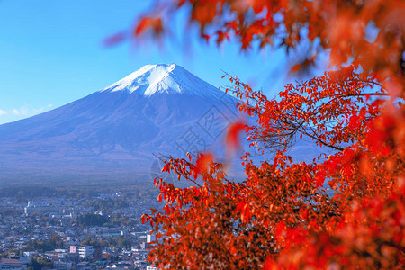 斐济火山背景经图片