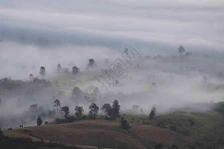 美丽的雾蒙的日出薄雾覆盖了山林景观顶视图乡图片