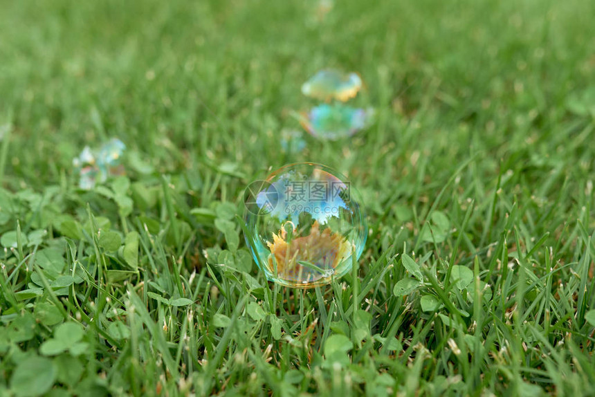 在绿草上反射的肥皂透明气泡图片