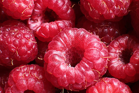 raspberry贝莓成熟和多图片