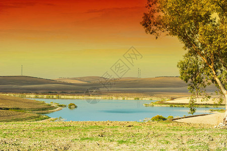 西班牙破碎田地之间的灌溉池图片
