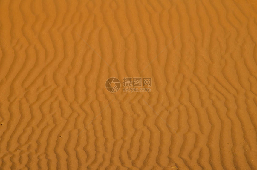 瓦伊巴沙漠中图片