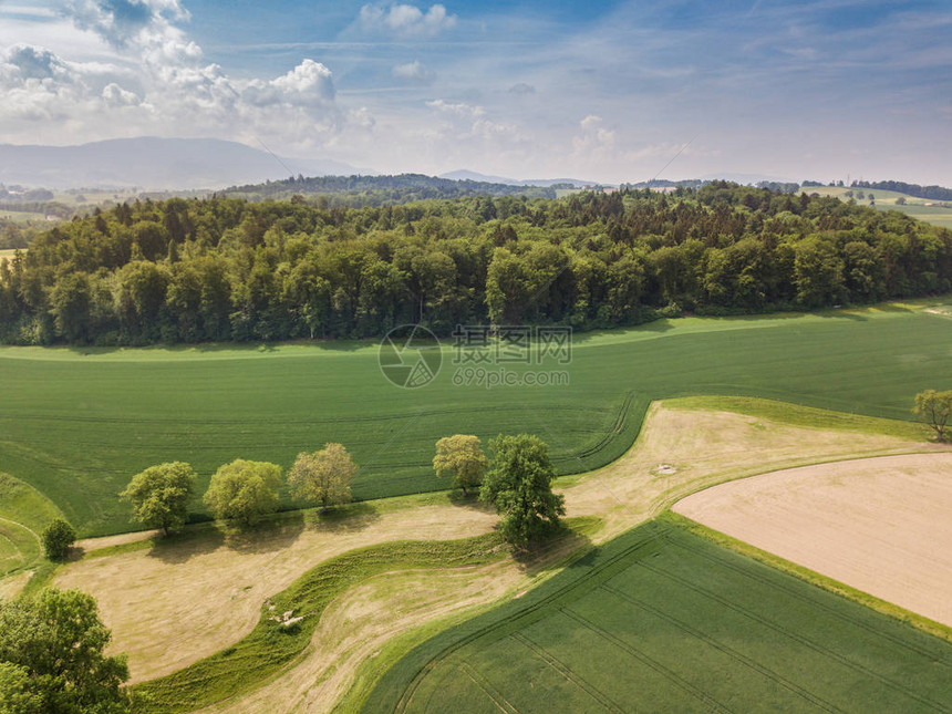 瑞士农村林区森林的空图片