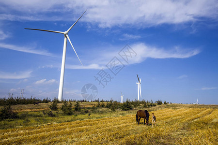 秋天风力涡轮机和图片