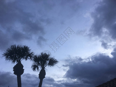 佛罗里达飓图片