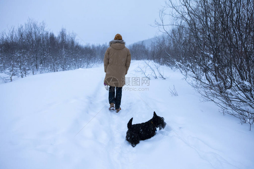 男人带着狗走在寒冬的森图片