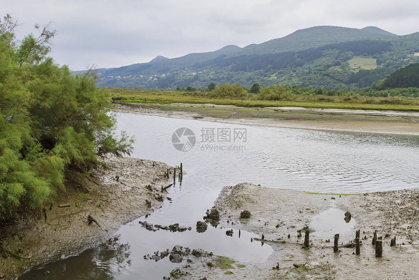 Urdaibai沼泽地在西班牙Vizc图片