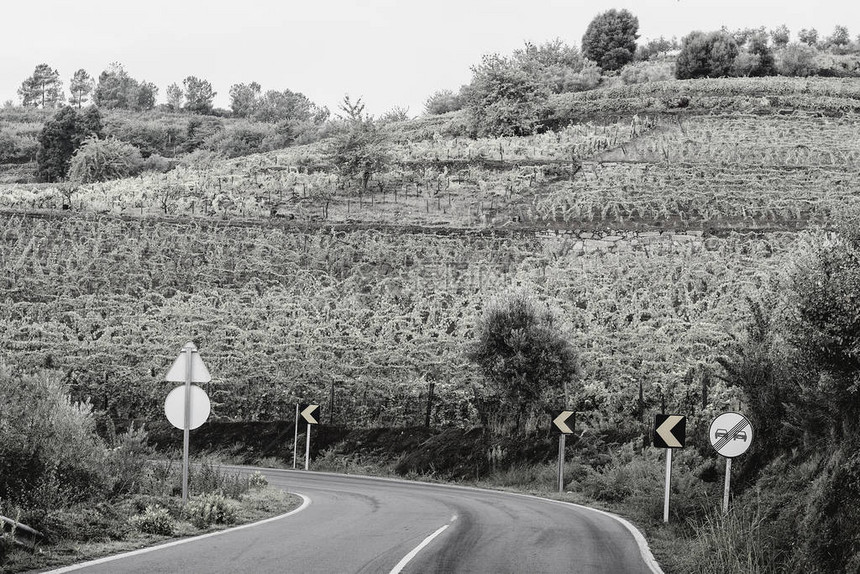 葡萄牙杜罗河地区葡萄园之间蜿蜒的柏油路葡萄牙村庄的葡萄栽图片