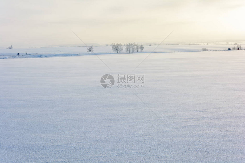 在寒冷的冬天木孤零的雪原图片