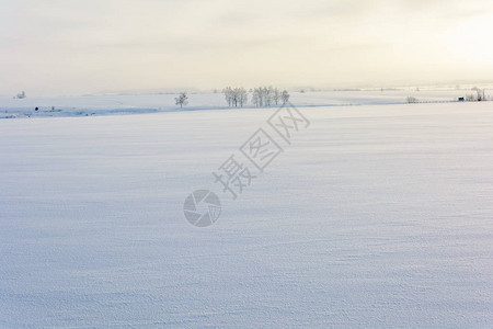 在寒冷的冬天木孤零的雪原背景图片