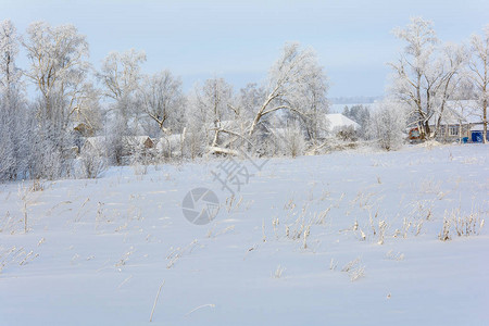 寒冬雪原边上的村郊图片