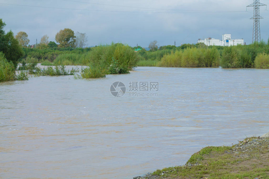 城市河流上的夏季风景图片