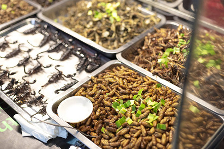 街头市场上的虫子幼虫蝎子和其他当地亚裔小吃图片