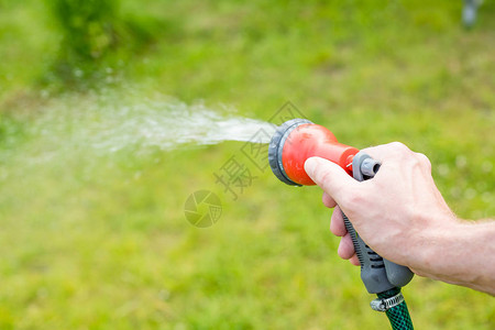 喷洒灭水喷洒器浇水床和夏图片