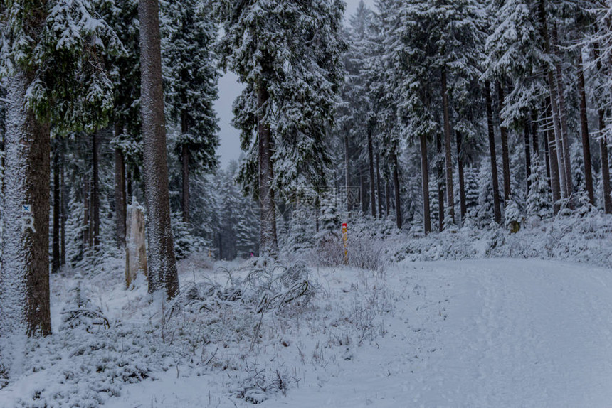 沿着Rennsteig穿过图林根森林的第一次小型冬季徒步旅行Ober图片