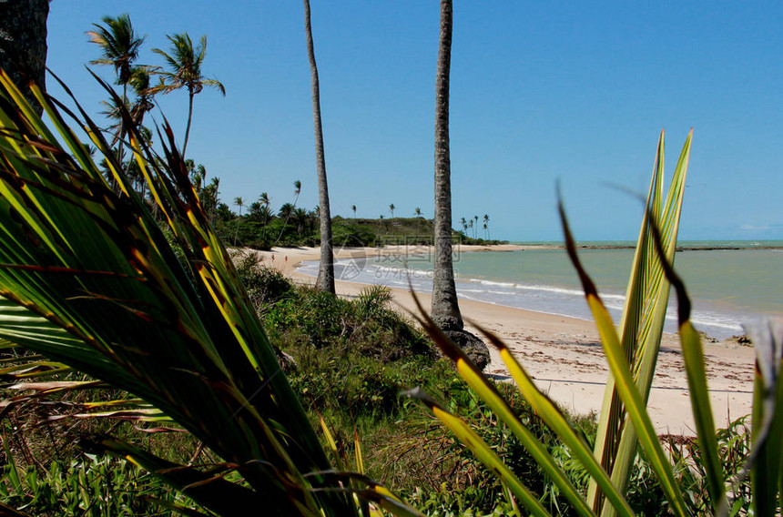 普拉多市PontadoMoreira海滩的景象校图片