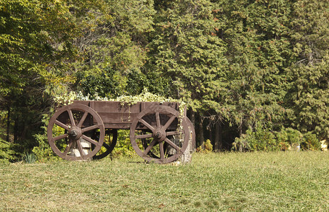 一座城市公园的旧马车在老树和绿草坪之间图片