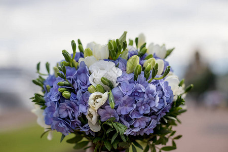 鲜花玫瑰和白木背景的freesia婚礼细节以蓝色和白色颜图片