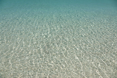 清晰透明的浅水海抽图片