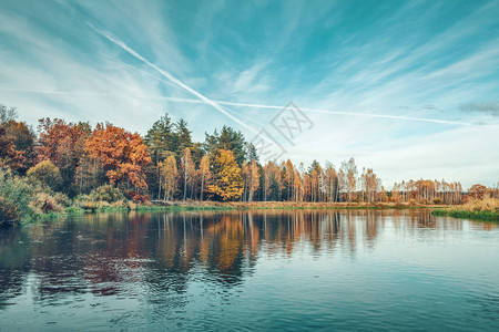 河边风景如画的秋季森林图片