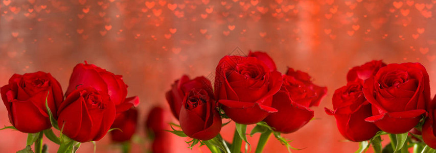 情人节卡片红玫瑰背景心散景光图片