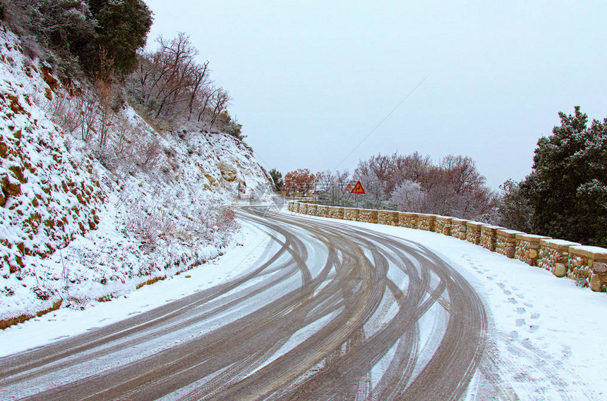 在山上和森林中被雪覆盖的树木里图片