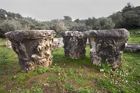 Euromos的古代宙斯寺庙柱子是土耳其CariaAnatolia的图片