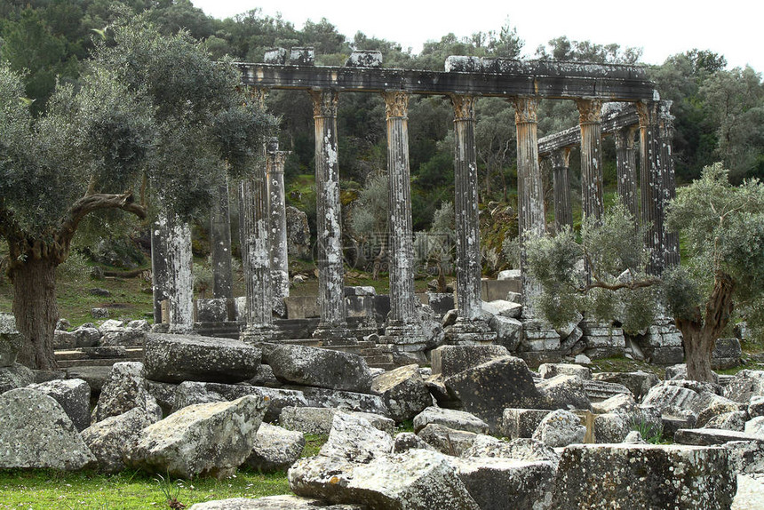 Euromos的古代宙斯寺庙柱子是土耳其CariaAnatolia的图片