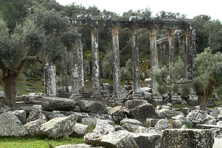 Euromos的古代宙斯寺庙柱子是土耳其CariaAnatolia的图片