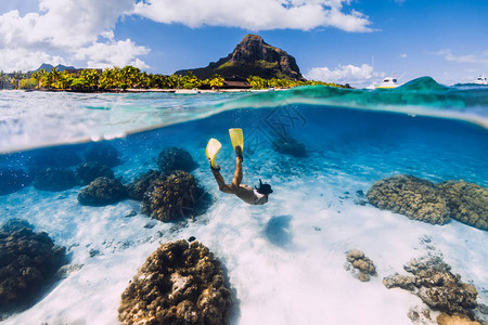 女在沙海上自由潜水的滑翔黄鳍在透明背景图片