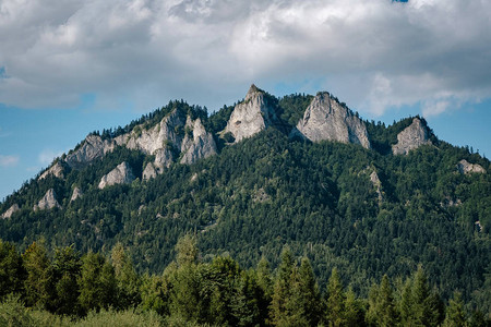 波兰的Dunajec河山地景观夏季日间高山景象图片