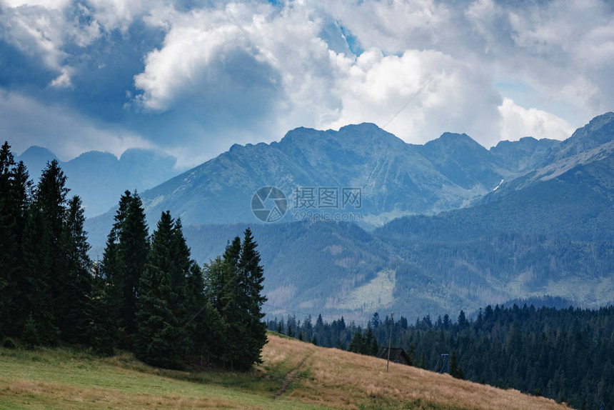低地云中的森林山坡图片