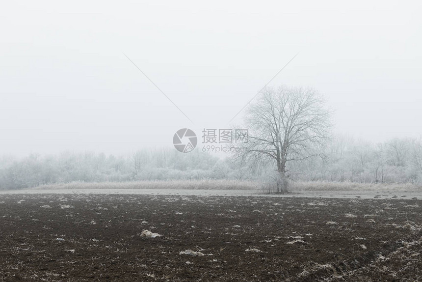 寒冷的田地在薄雾图片