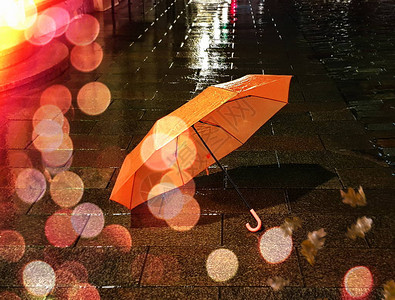 湿沥青城市晚雨滴水反射秋叶秋天季节街道傍晚灯光模糊光晚上背景质地图片